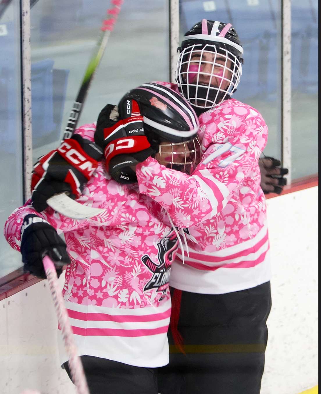 Stick check near the boards